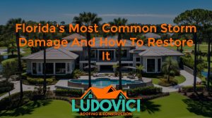 Florida's Most Common Storm Damage and How to Restore It