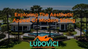 Exploring the Aesthetic Appeal of Modern Siding