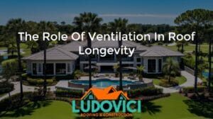 The Role of Ventilation in Roof Longevity